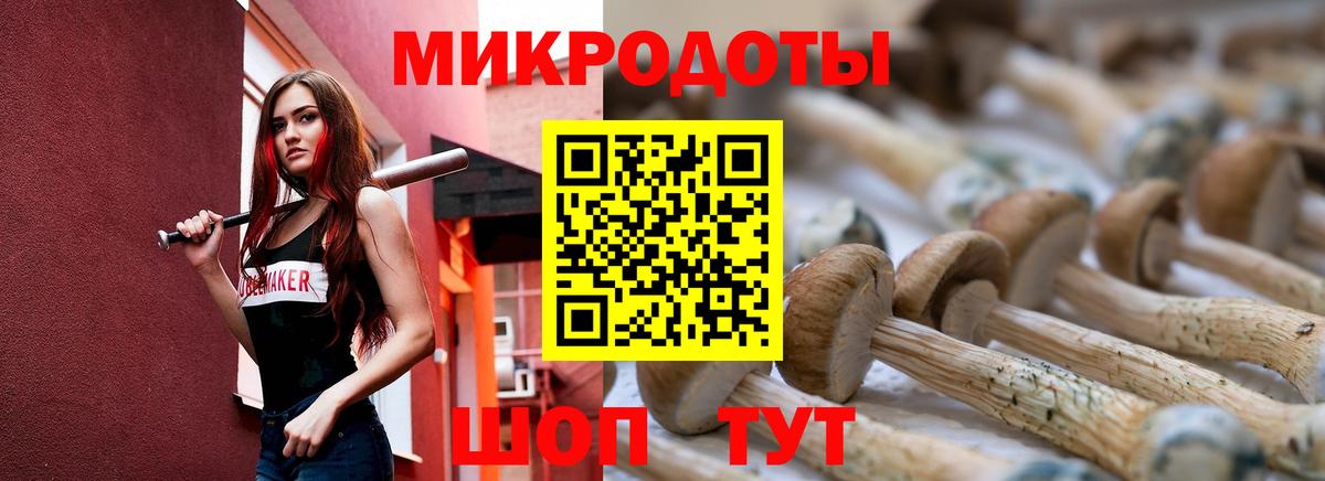 Галлюциногенные грибы Psilocybe  Галлюциногенные грибы Psilocybe  Белорецк  Вход с VPN 